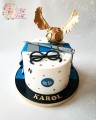 tort-harry-potter-2