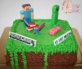 tort-na-zamowienie-minecraft