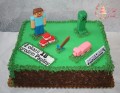 tort-minecraft