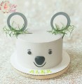 tort-z-koala.jpg