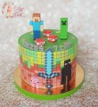 tort-minecraft-2