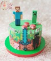 tort-minecraft-3