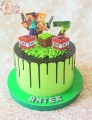 tort-minecraft-1