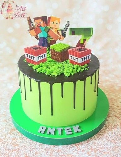 tort-minecraft-1