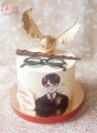 tort-harry-potter-2.jpg