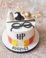 tort-harry-potter